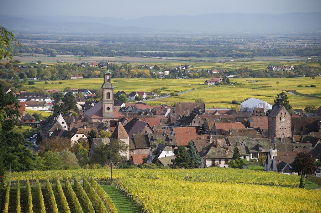 Villa Maison Rebleuthof à Riquewihr Extérieur photo